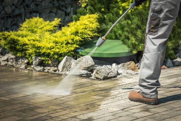 Best Winterizing Services  in Harbor Isle, NY